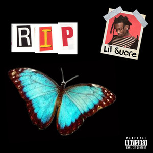 521香蕉在线观看视频
